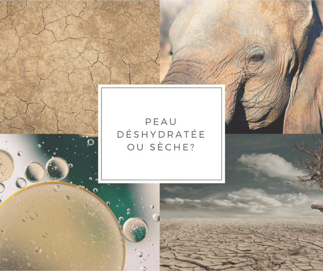 Comment savoir si ma peau est sèche ou déshydratée?